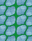 Herzmuscheln
